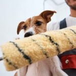Man with his dog doing renovation work in room. Good relationship between a dog and his owner